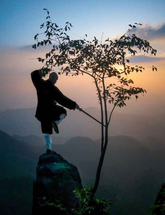A Path of Taoism - A Philosophy that Demands the Body, by Vasco Daniel Baião