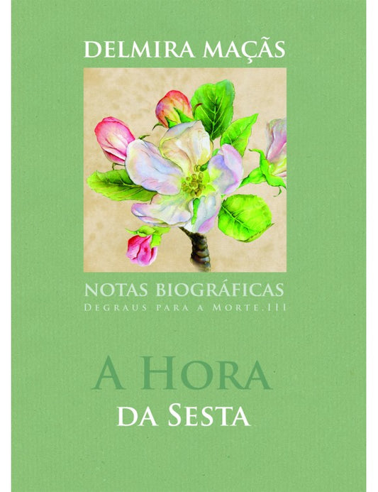 the siesta time