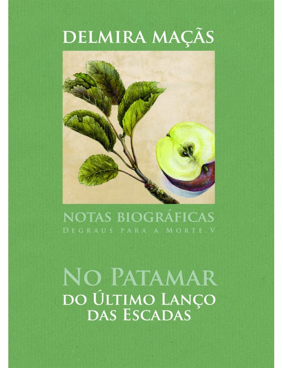 No Patamar do Último Lance de Escadas