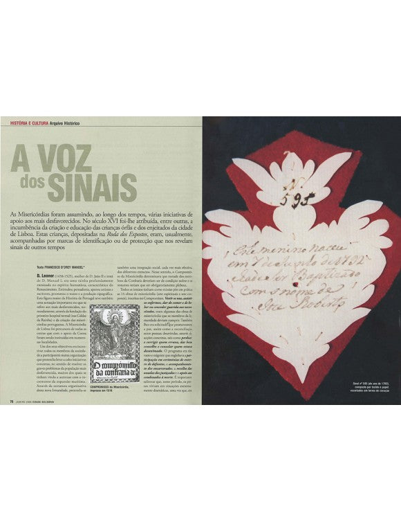 Artigo: A voz dos sinais