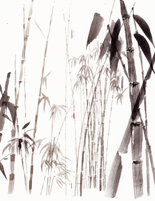 JAN-MAR | Ciclo de workshops de desenho “O Olhar em Viagem”